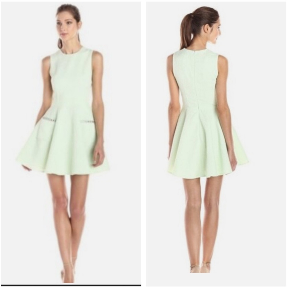 French Connection Sleeveless Shimmery Mint Green Dress